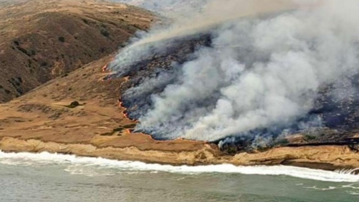 California'da yangın: Binlerce dönüm kül oldu