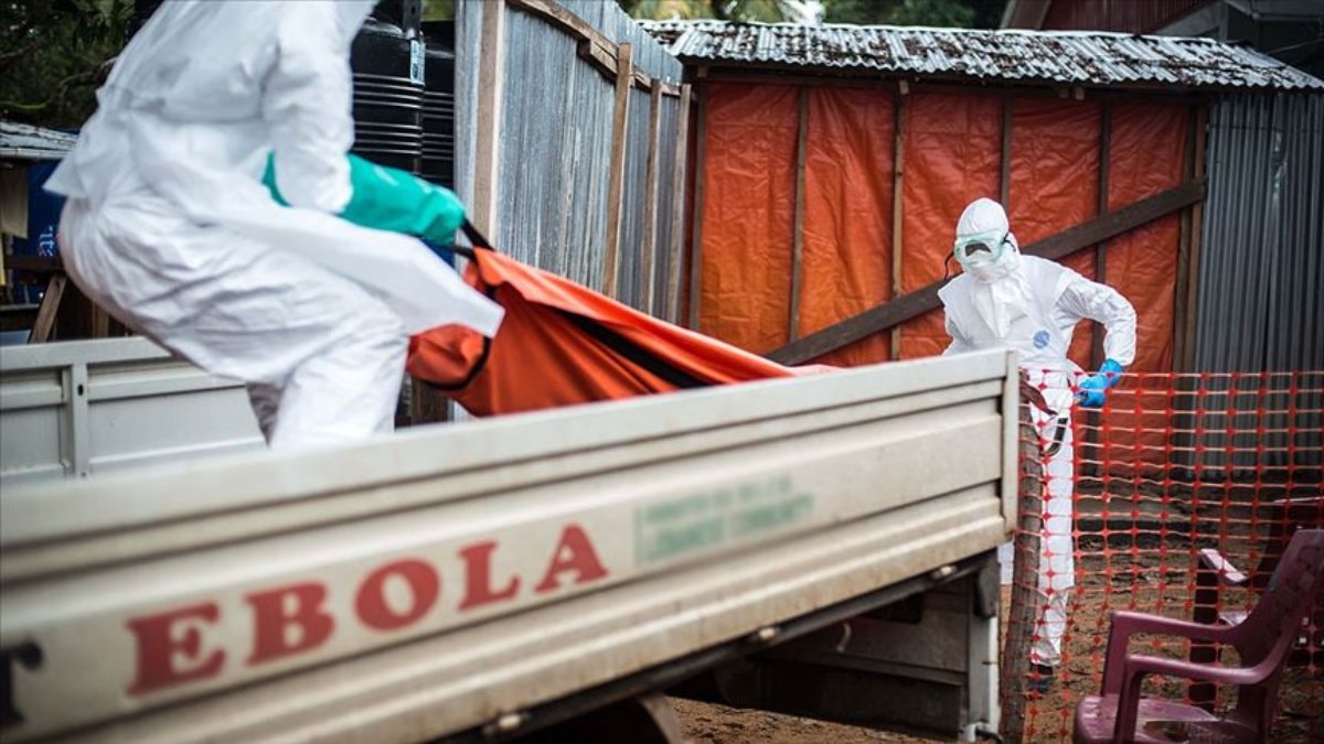 DSÖ: 900’den fazla şüpheli Ebola vakası tespit edildi