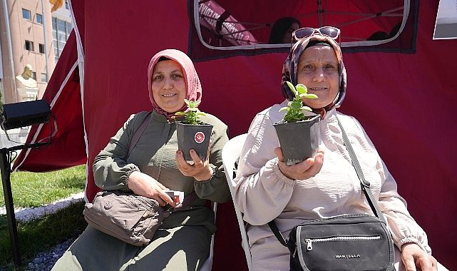 Keçiören'de Uyuşturucuyla Mücadele Günü Kapsamında Fidan ve Fide Dağıtıldı