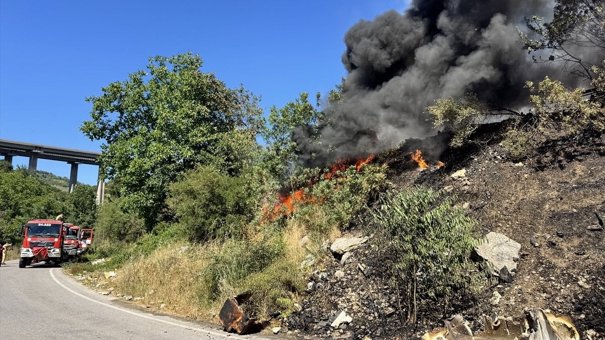 Kocaeli'de makilik alanda yangın