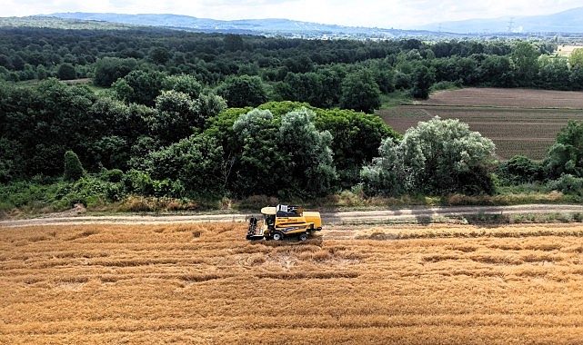 Kocaeli'de tarım, altın çağını yaşıyor