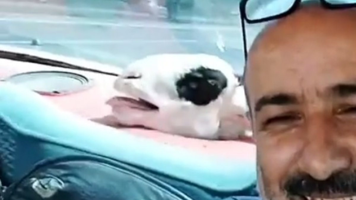 Niğde’de aldığı kurbanlık koyunla yolculuk yapıp selfie çekti