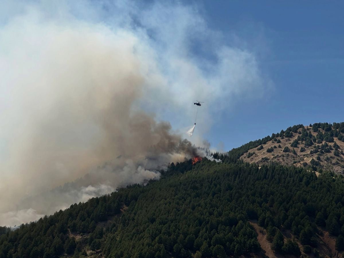 Adıyaman Sincik'te orman yangınına havadan ve karadan müdahale