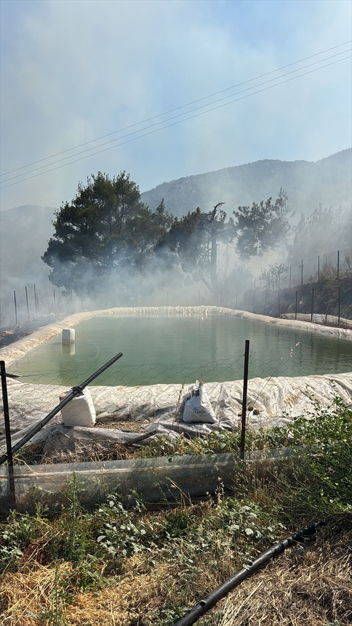 Antalya'da ormanlık alanda çıkan yangın kontrol altına alındı