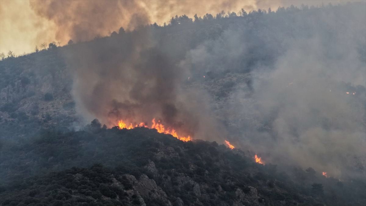 Antalya'daki orman yangınına müdahale sürüyor