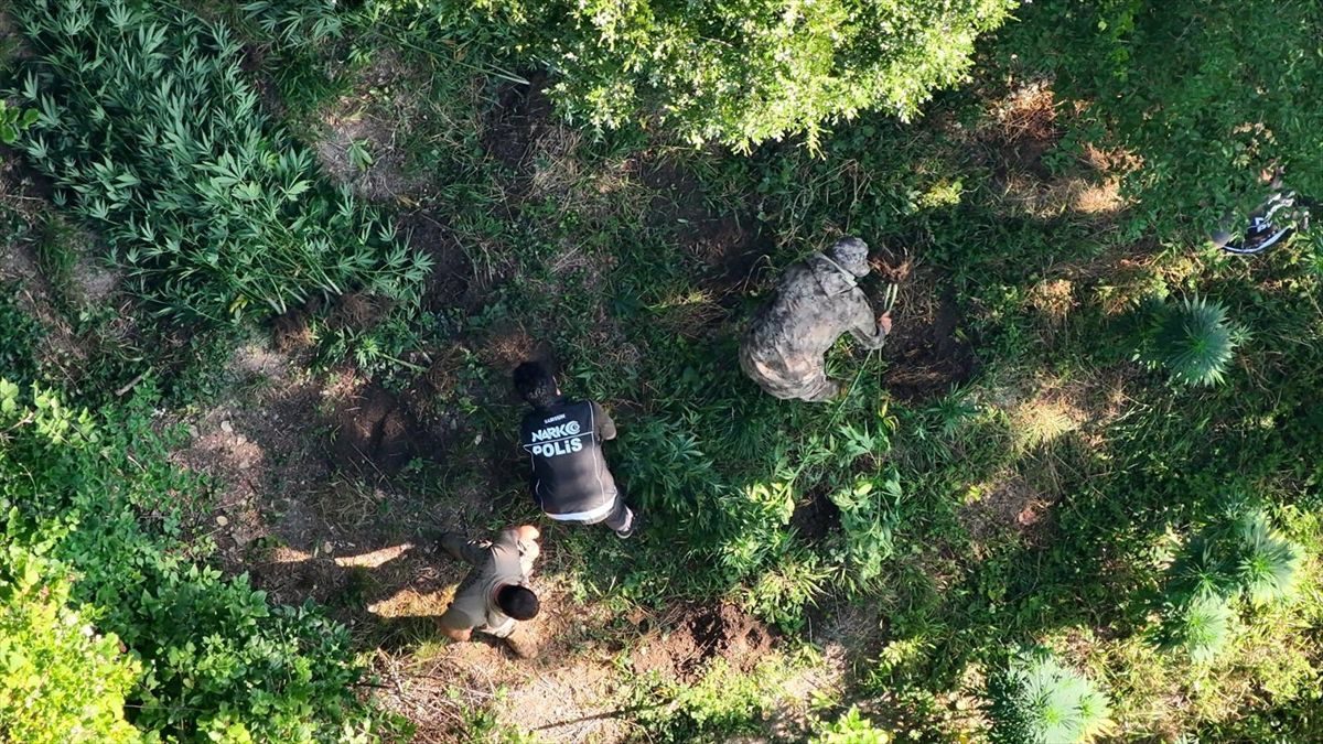 Bafra'da uyuşturucu operasyonu: 1 tutuklama