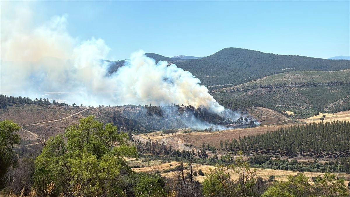 Bursa'da çıkan orman yangınına müdahale ediliyor