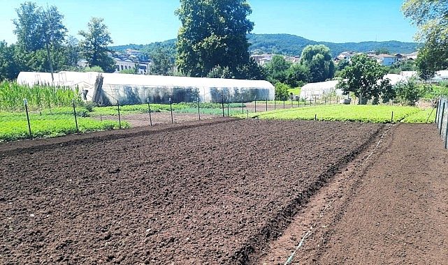 Büyükşehir her alanda çiftçinin yanında