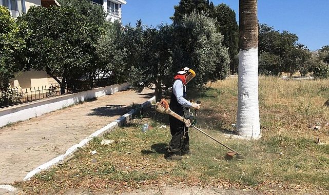 Didim Belediyesi'nden Kente Özenli Dokunuş: Kendi Üretimi Çiçekler Toprakla Buluşuyor