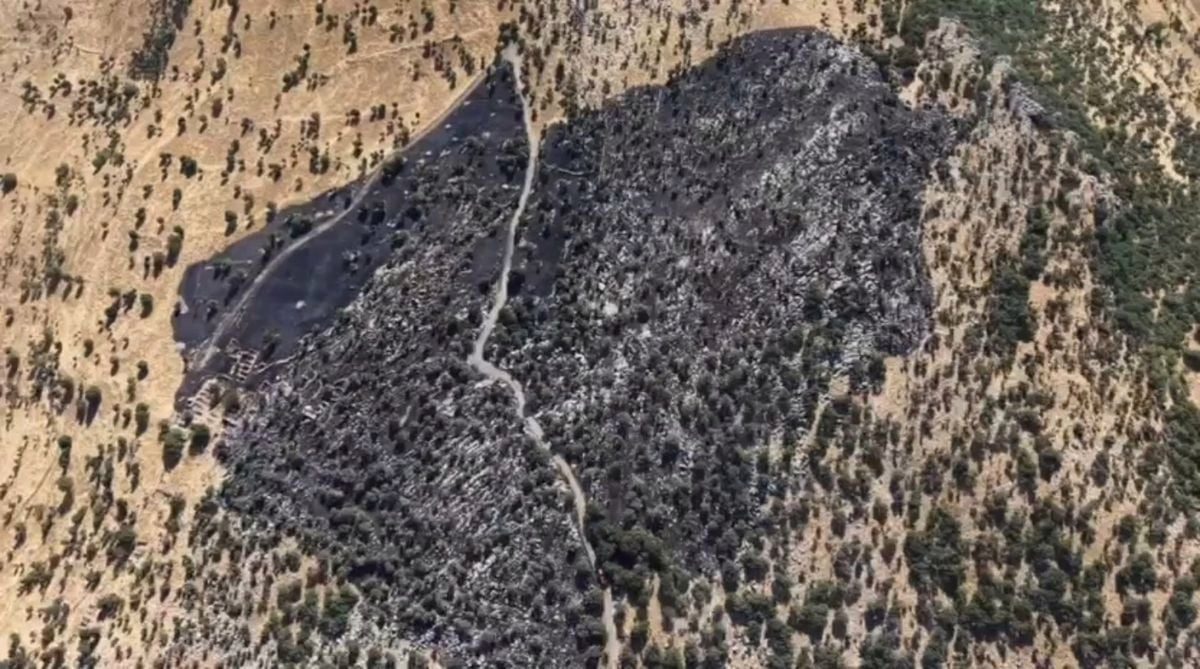 Diyarbakır'da çıkan örtü yangını dronla görüntülendi