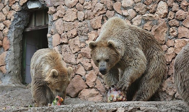 Doğal Yaşam Parkı'nda serinleten öğün uygulaması