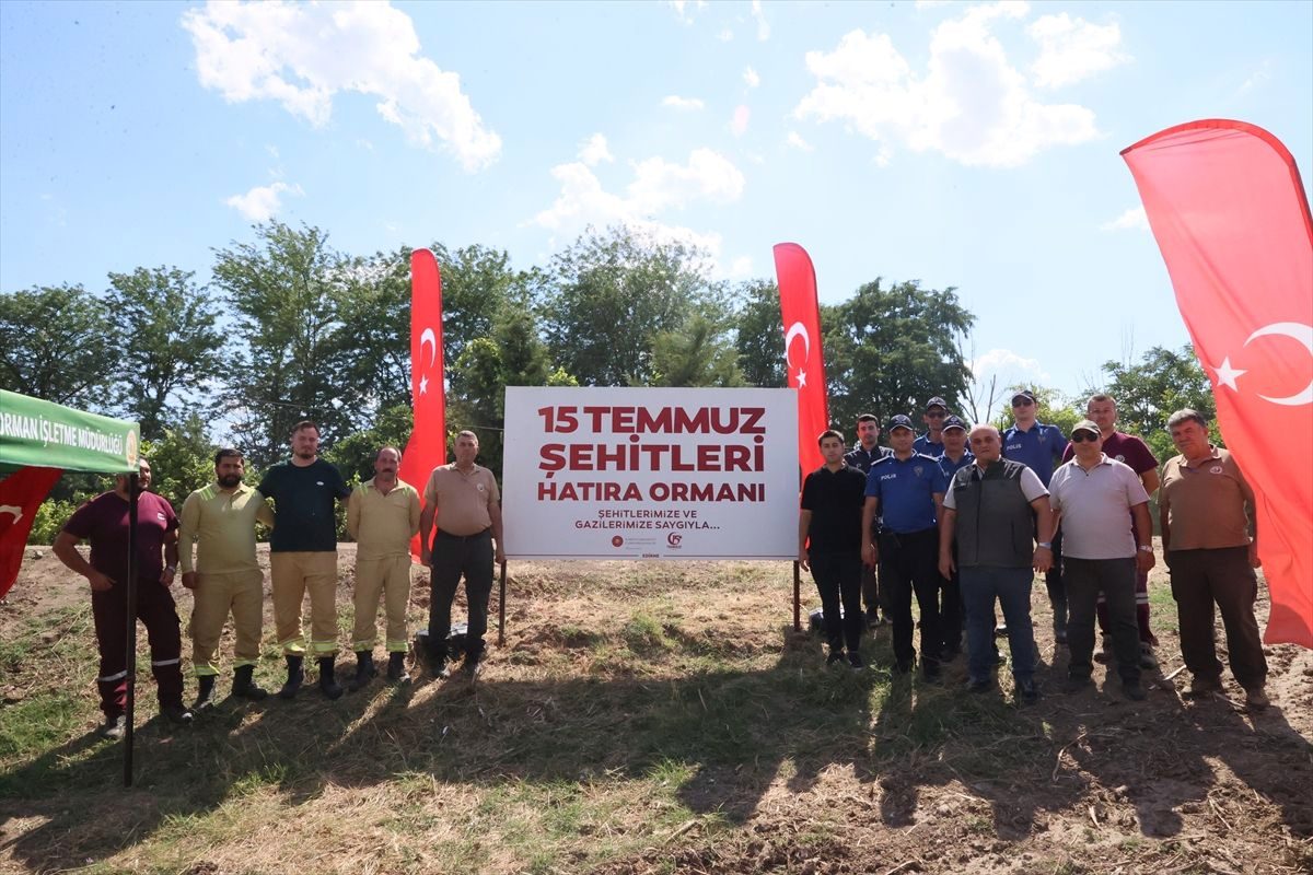 Edirne'de 15 Temmuz Hatıra Ormanı'na Bakım