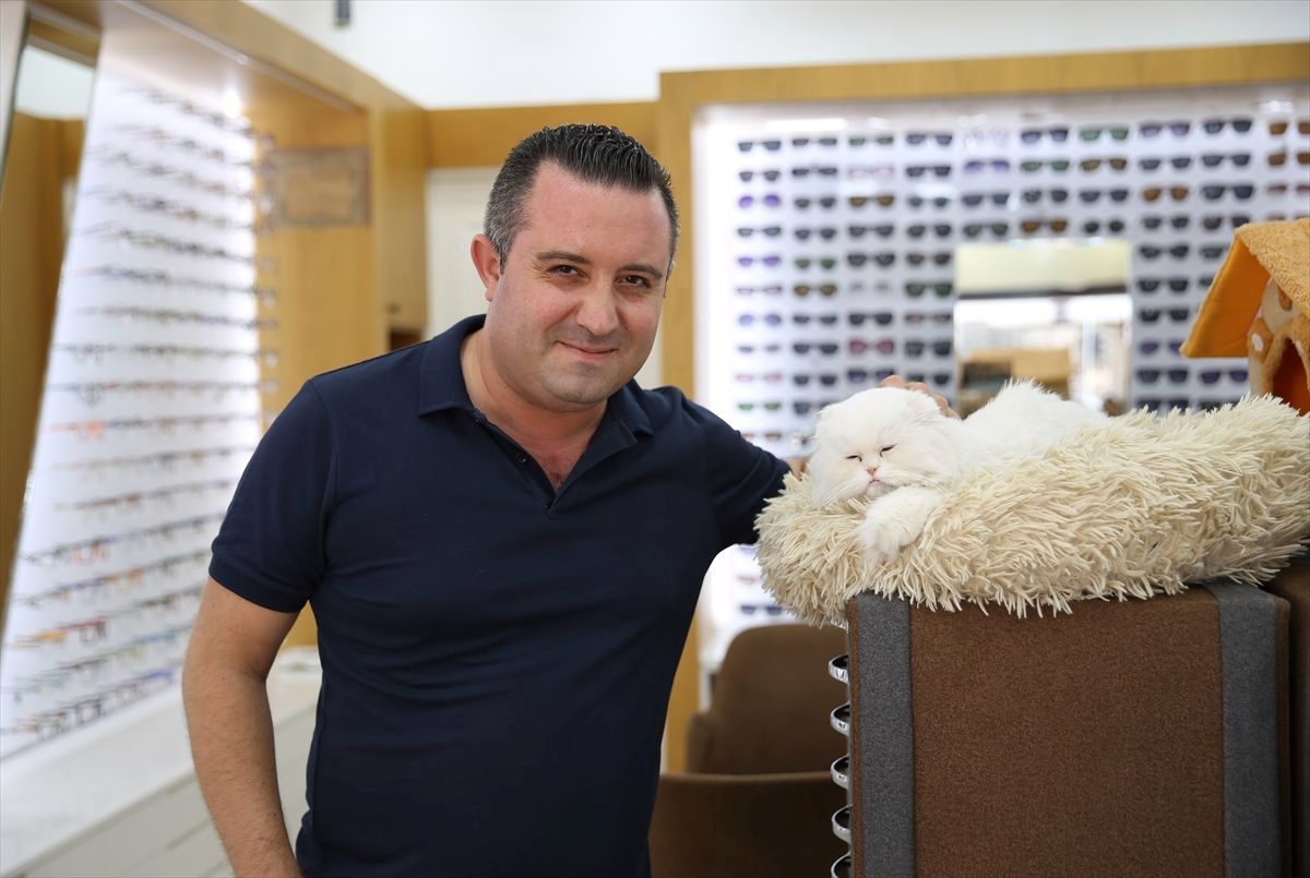 Esnafın evi ve iş yeri sahipsiz kedilerin güvenli limanı oldu