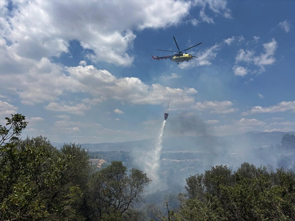 İzmir'de zirai alandan zeytinliğe sıçrayan yangın kontrol altına alındı