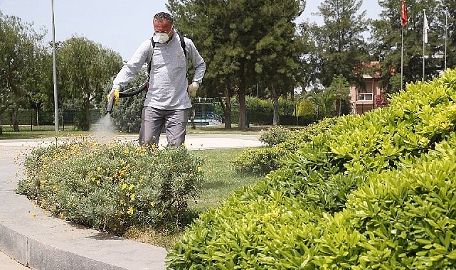Karşıyaka Belediyesi'nden haşerelerle kararlı mücadele