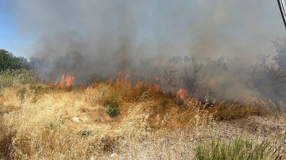 Kütahya'da otluk alanda yangın