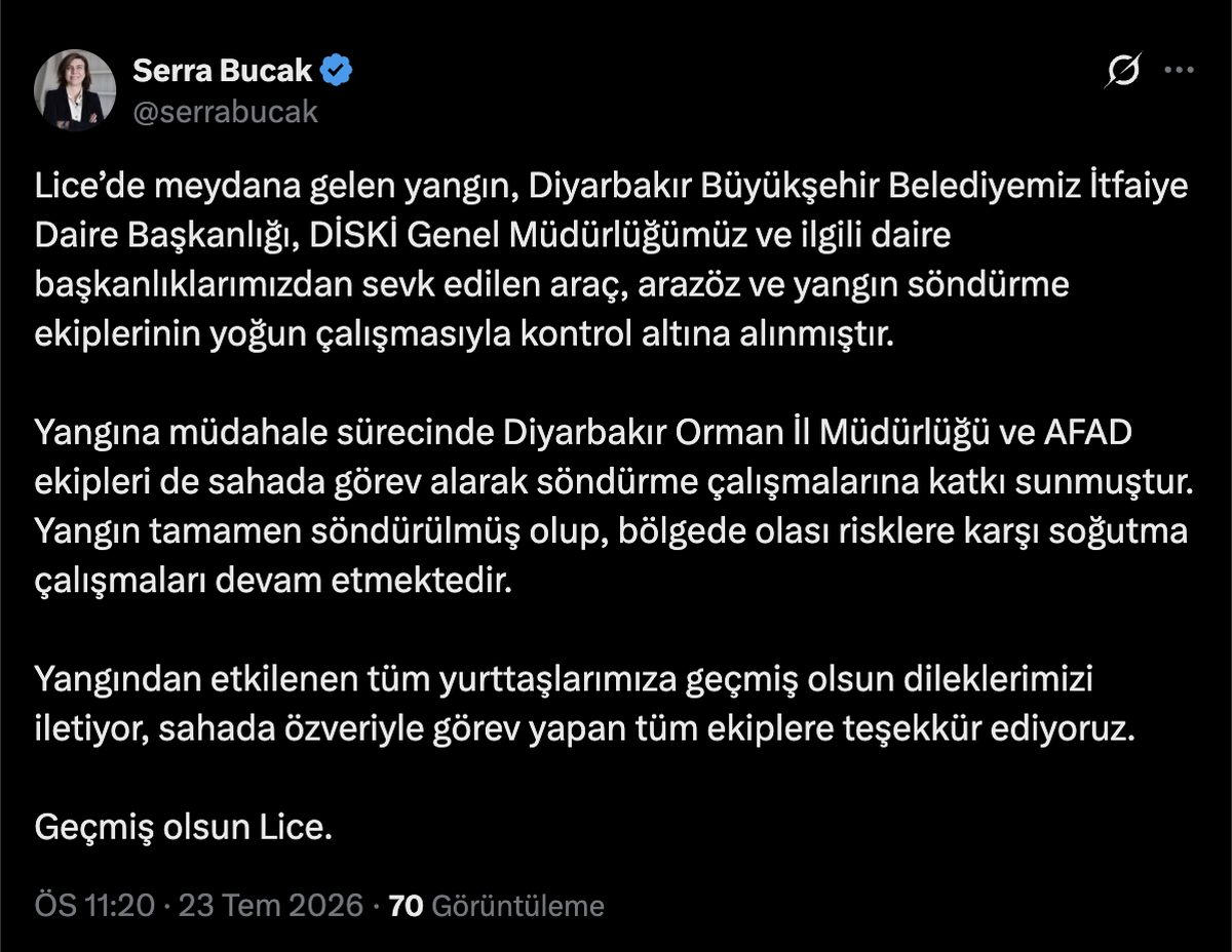 Lice'deki Yangın Kontrol Altına Alındı