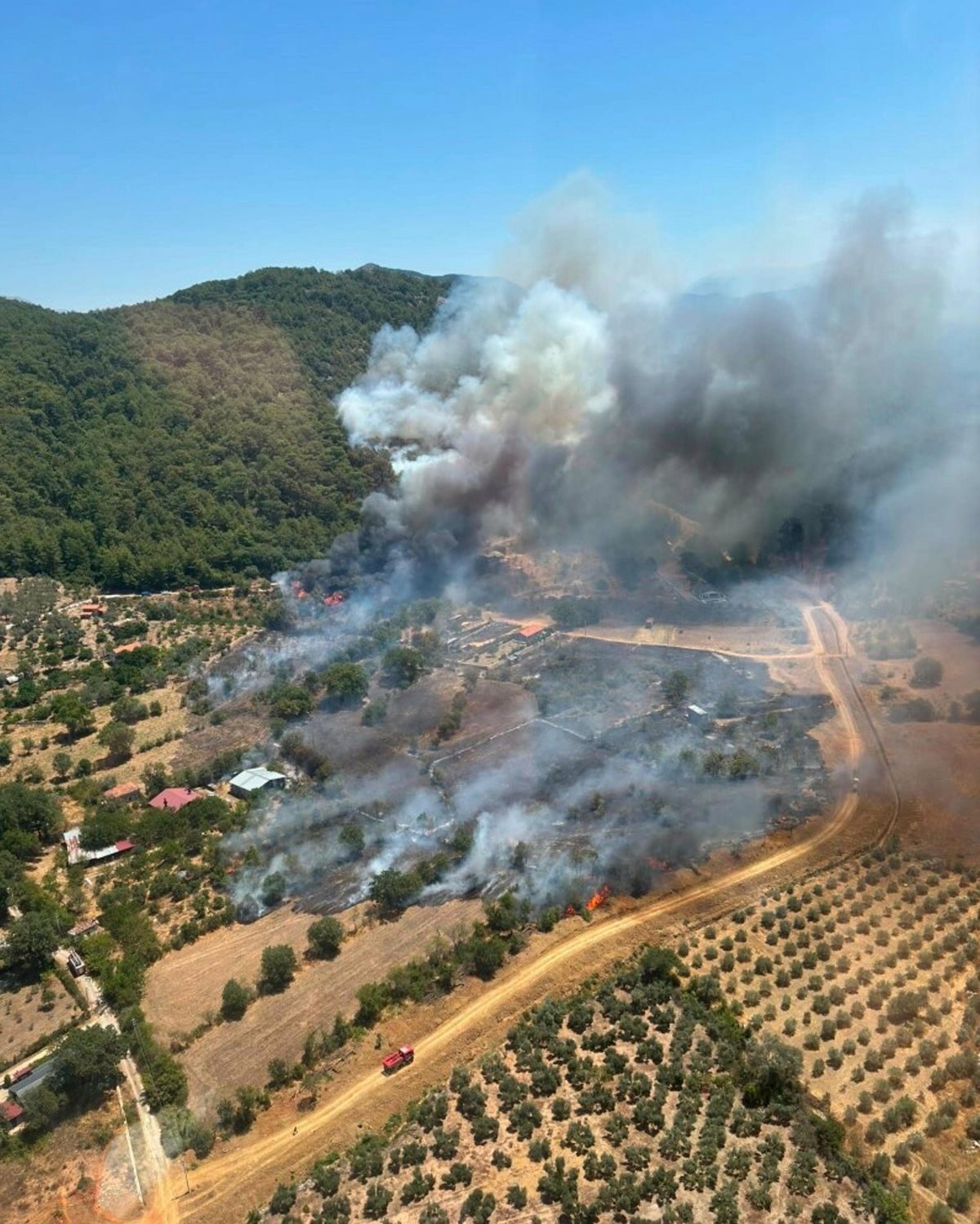 Muğla Fethiye'de Orman Yangını: Havadan ve Karadan Müdahale Ediliyor