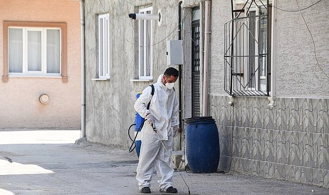 Osmangazi Belediyesi'nden Haşereye Karşı Anında Müdahale