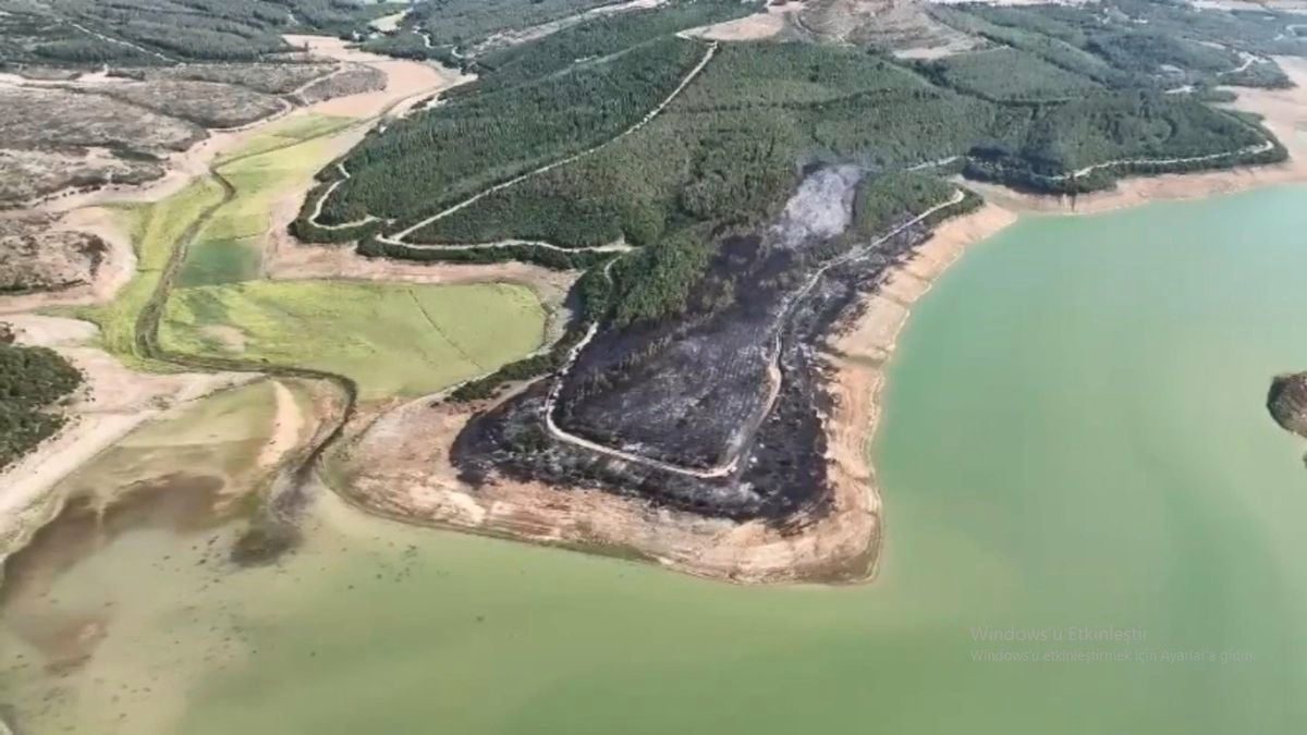 Tekirdağ'da yangında 80 dekar orman zarar gördü