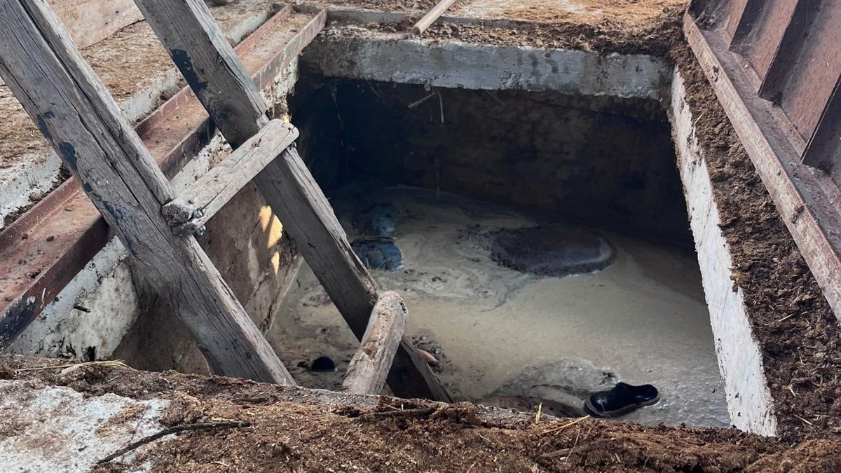 Amasya'da foseptik çukurundan hayvanlarını kurtarmak isterken canından oldu