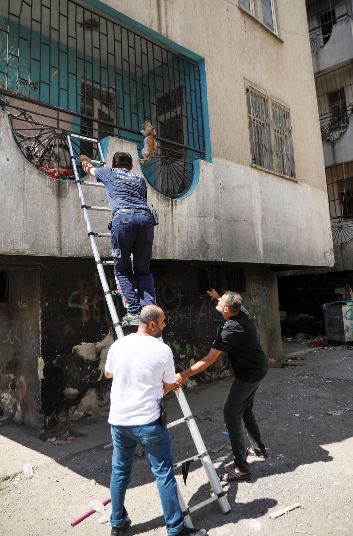 Antalya'da Metruk Binada Yangın: Balkon Filesine Takılan Kedi İtfaiye Tarafından Kurtarıldı
