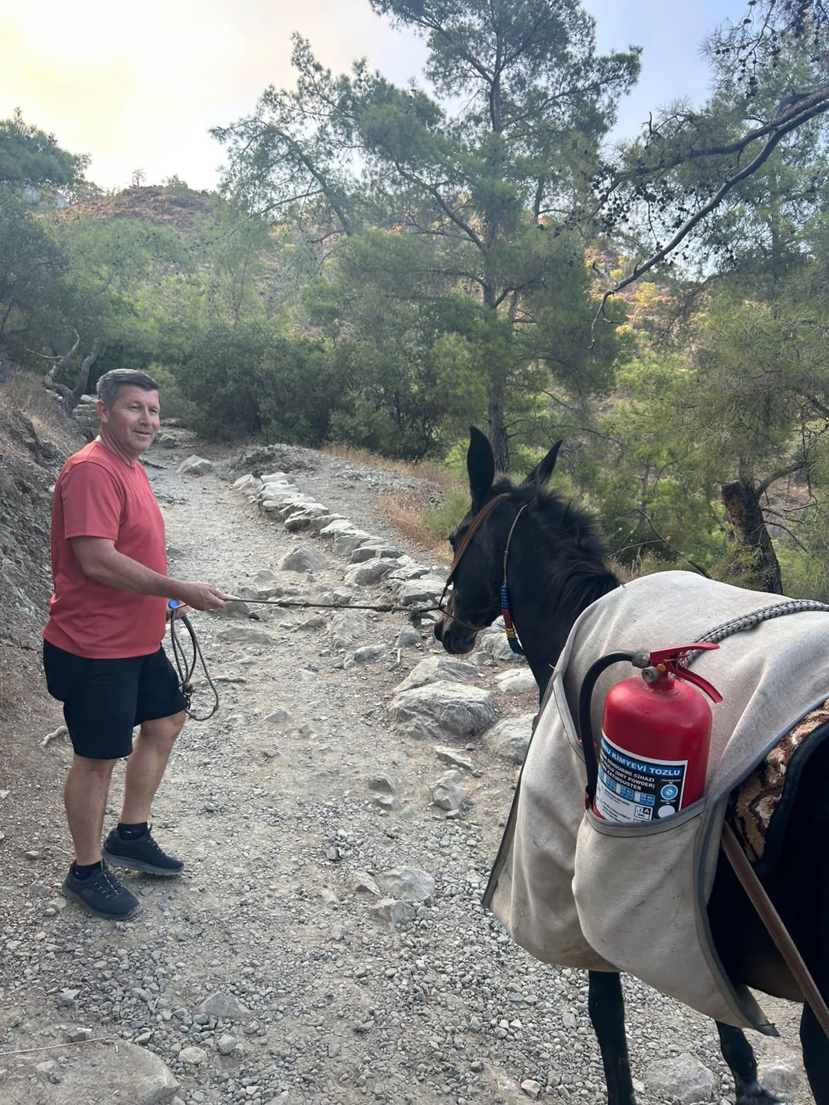 Antalya'da orman yangını