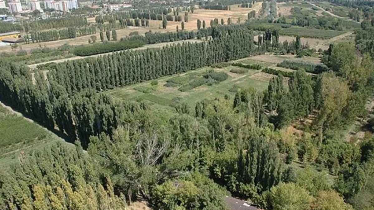 Atatürk Orman Çiftliği, açık artırma ile iki taşınmazını depo olarak kiralıyor