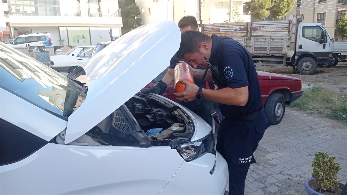 Balıkesir'de aracın motor kısmına giren kedi yavrusu kurtarıldı