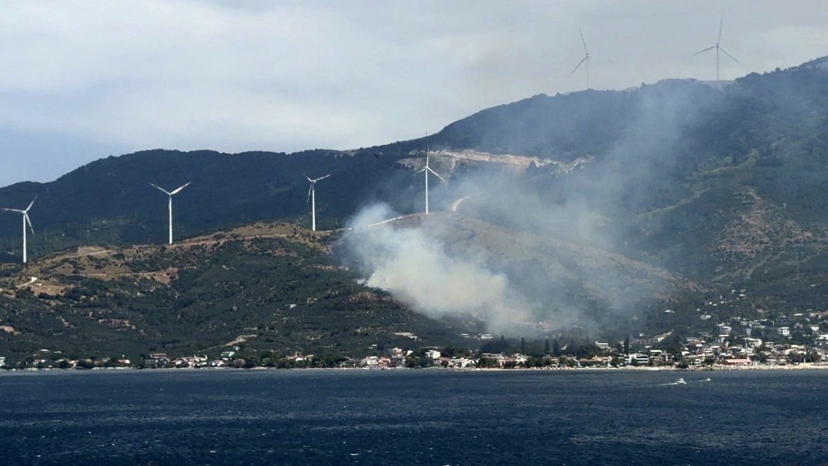 Balıkesir'de orman yangınına neden olan şüpheli gözaltına alındı