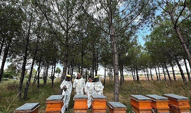 Bilinçli üretim, Kocaeli'nin balını Türkiye'ye taşıyor