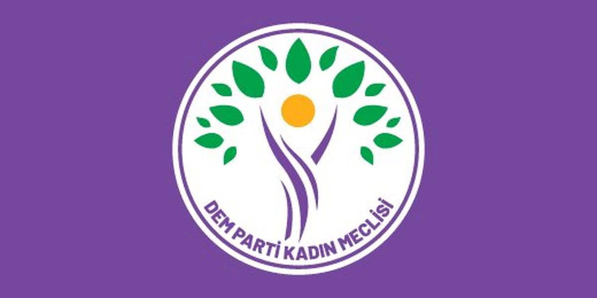 DEM Parti'den Rojin Kabaiş soruşturmasına ilişkin sert açıklama
