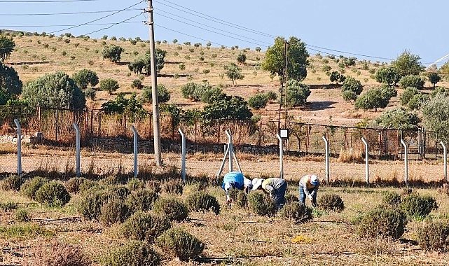 Didim Belediyesi Üretiyor, Didim Güzelleşiyor