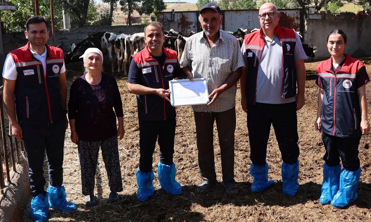 Edirne'den kısa kısa