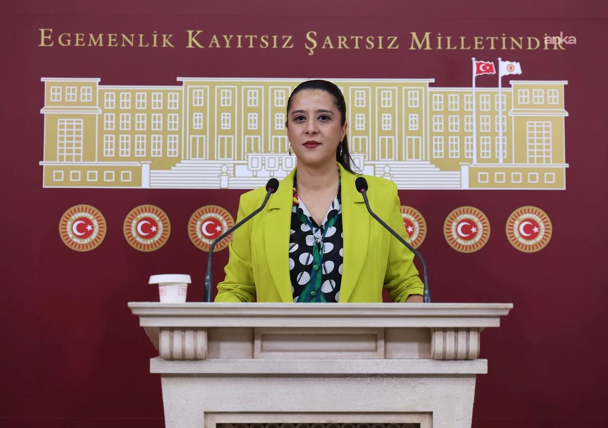 EMEP'li Karaca, Akşehir'deki Kadına Yönelik Şiddet İddiasını Meclis Gündemine Taşıdı