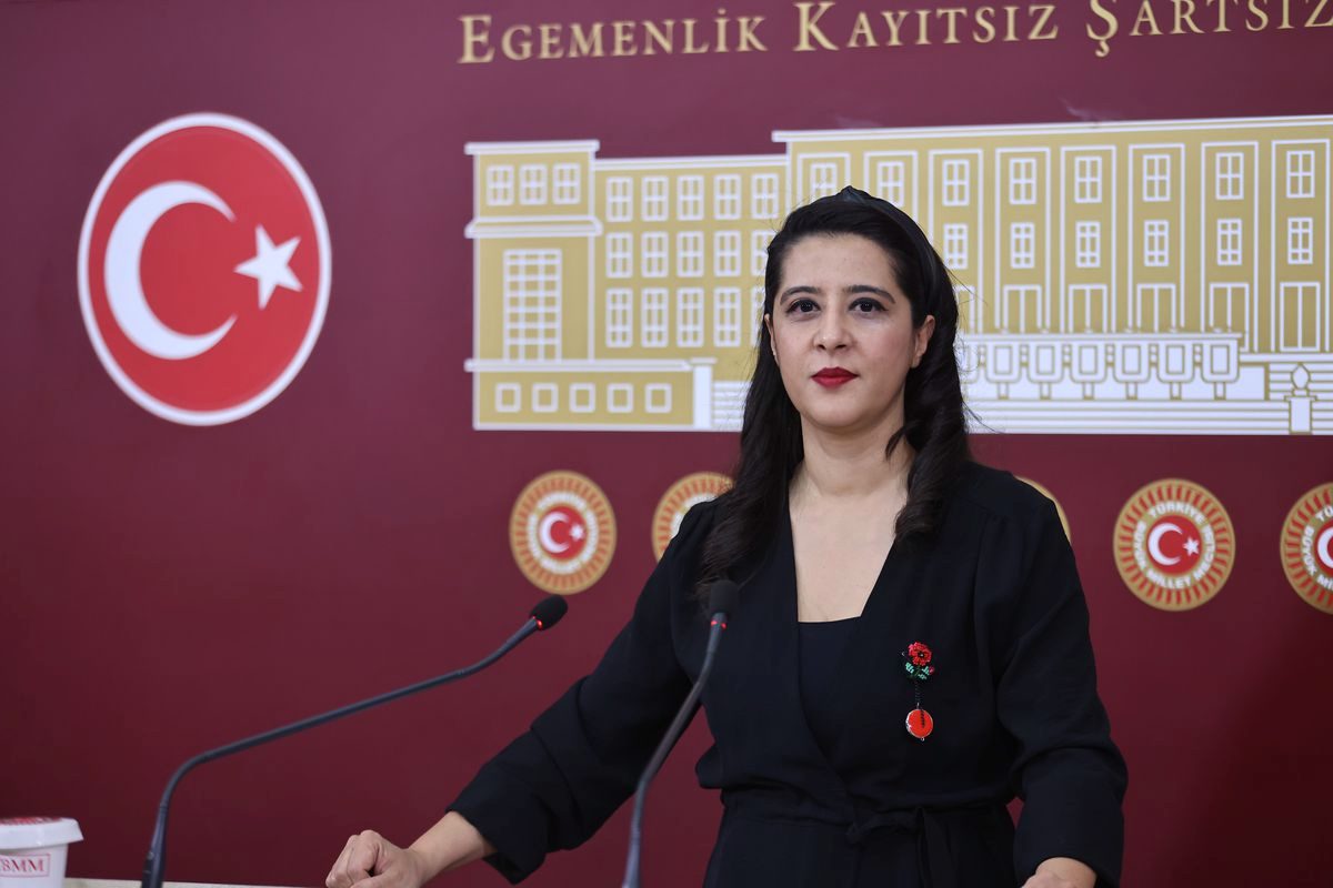 EMEP'li Karaca, Madran Dağı yangınını TBMM'ye taşıdı: 5 bakana soru önergesi