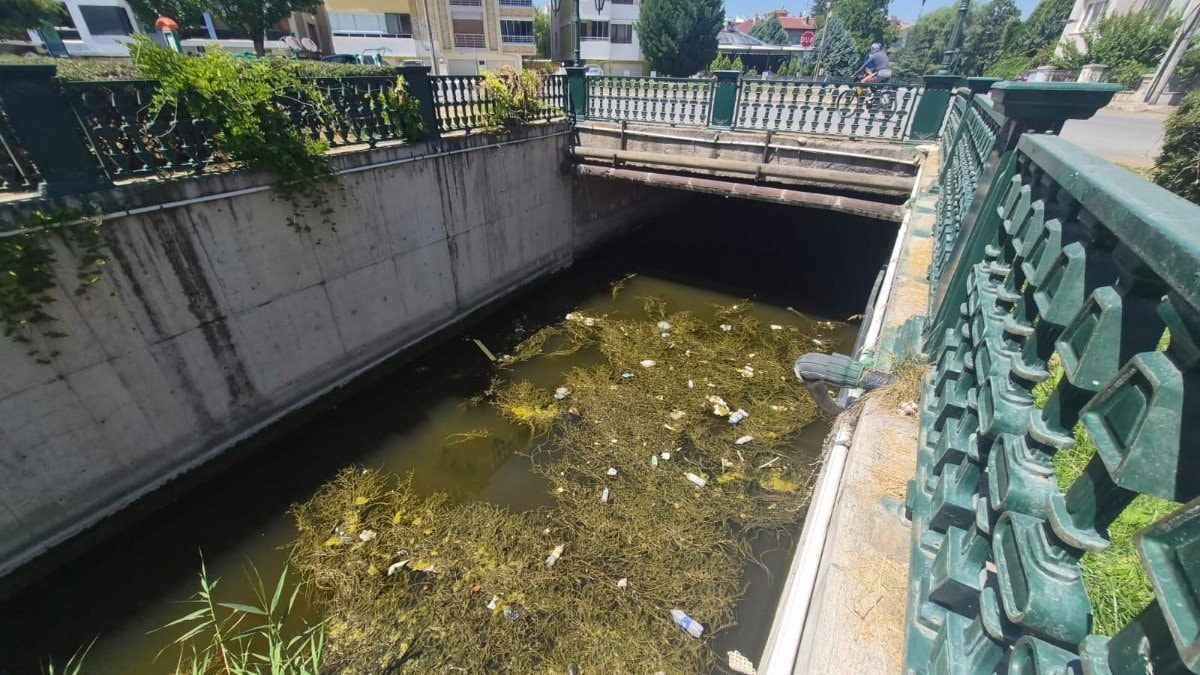 Eskişehir'in simgesi Porsuk Çayı’nda çöp alarmı