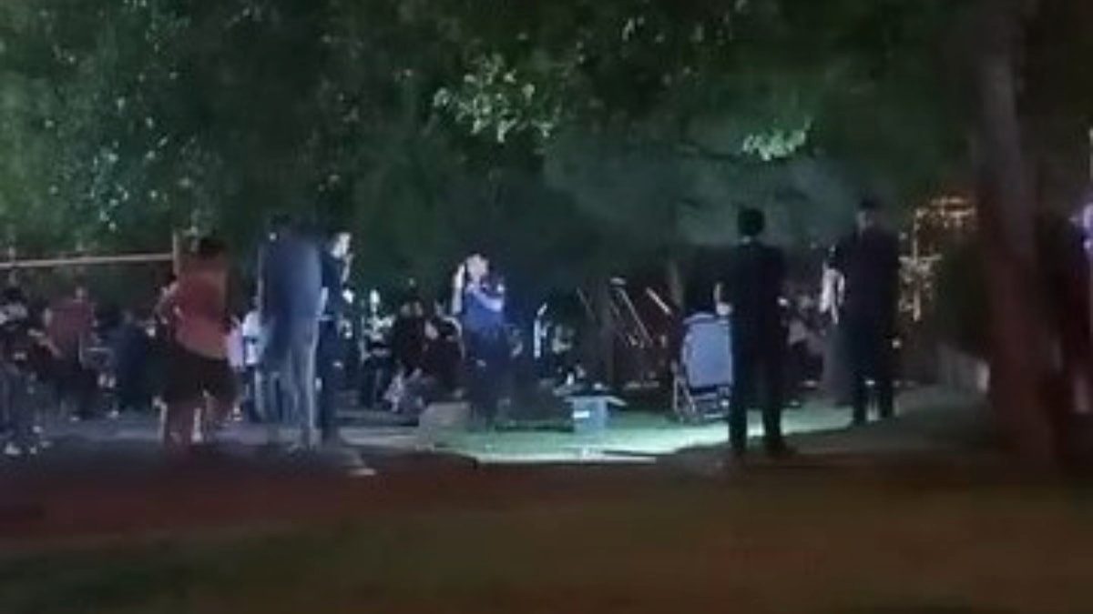 İstanbul'da bebeğiyle parka çıkan kadın pusette silah buldu