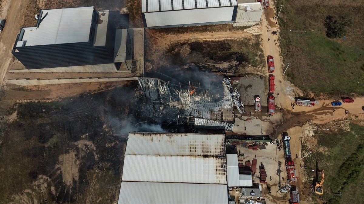 Kocaeli'de kimya fabrikasında yangın: 2 işçi yaralandı, 2 at telef oldu