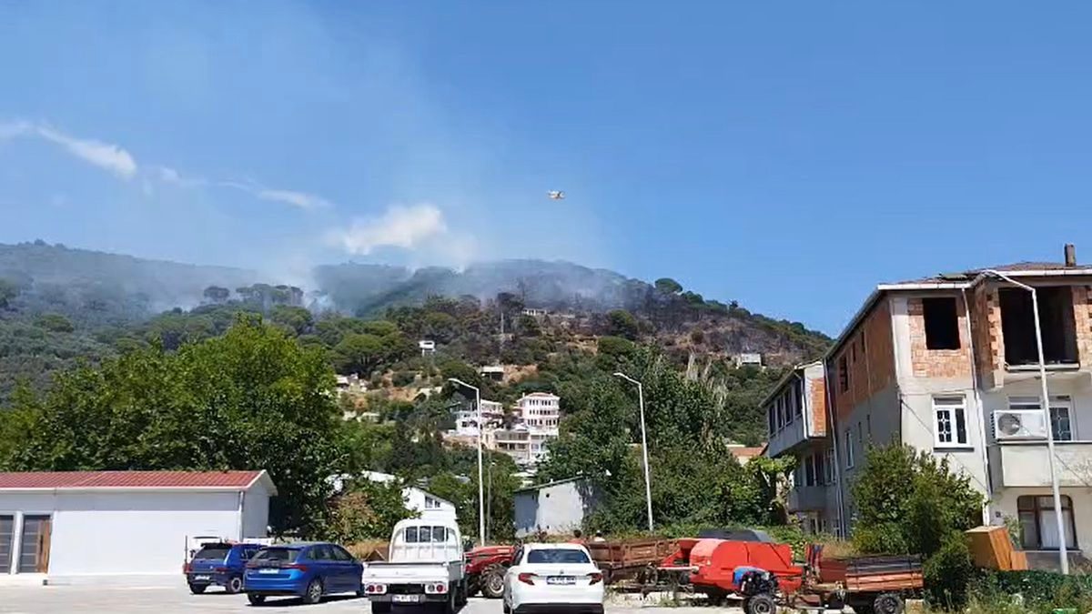 Marmara Adası’nda orman yangını