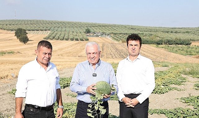 Nilüfer Belediyesi'nden "Hırsız Almaz Kavunu" için coğrafi işaret hazırlığı
