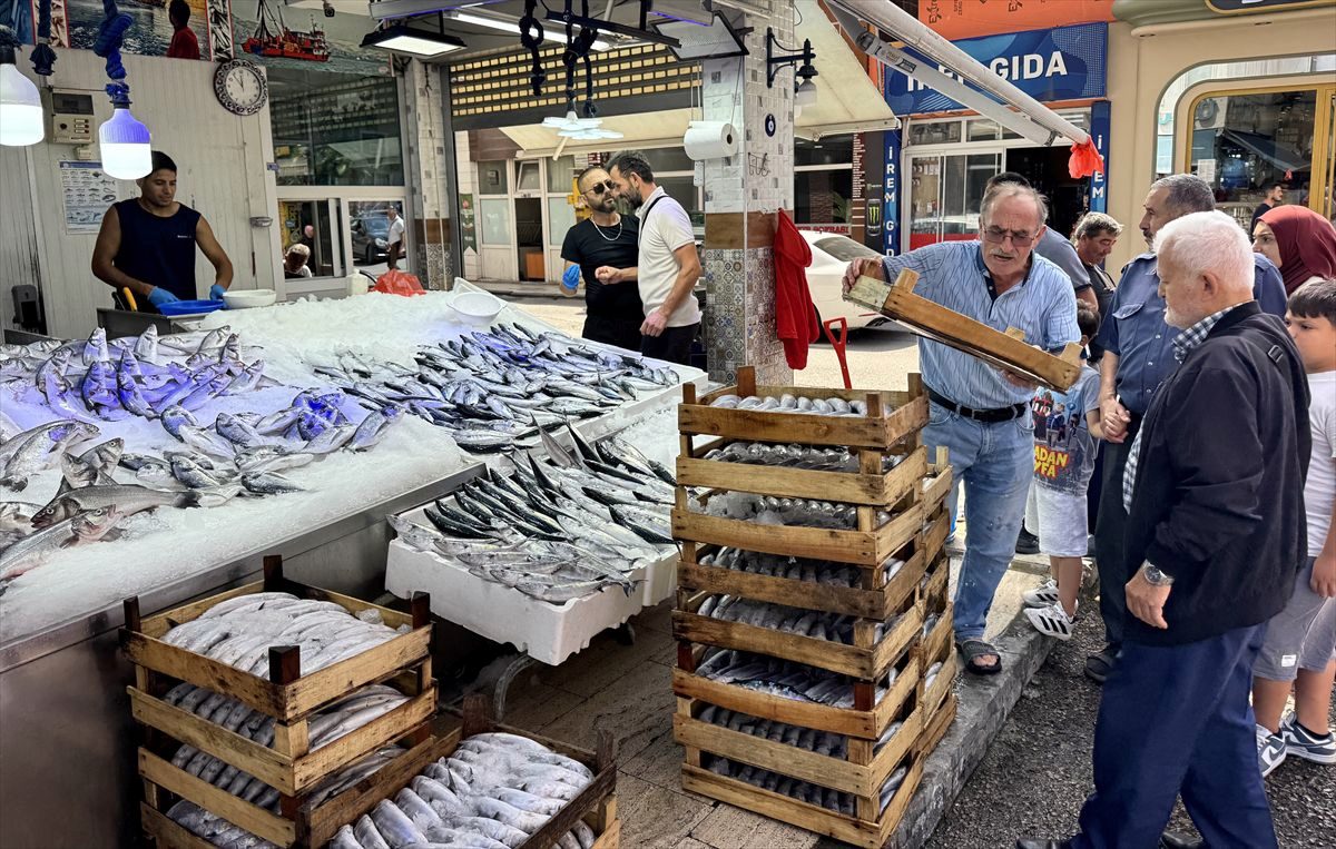 Sinop'ta Palamut Bolluğu: Tezgahlarda 200-250 TL