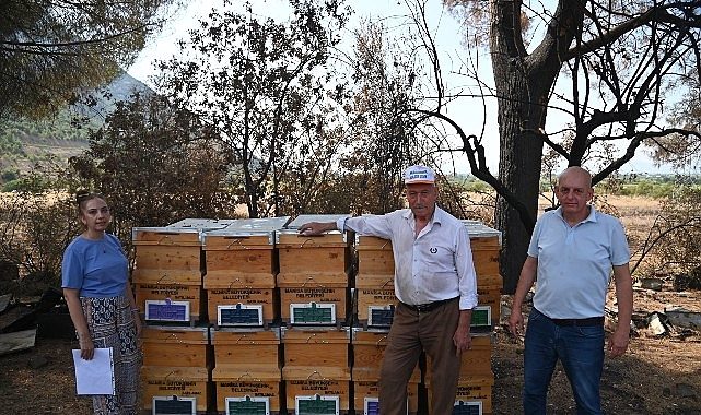 Yangında Kovanları Zarar Gören Arıcıya Büyükşehir'den Destek