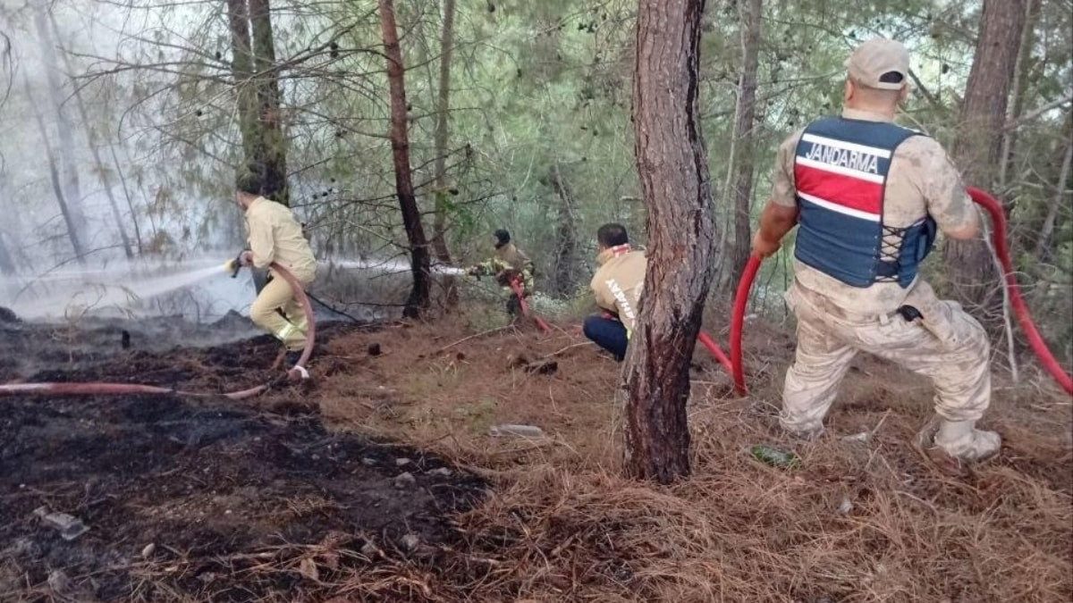 Yayladağı’nda orman yangını büyümeden kontrol altına alındı