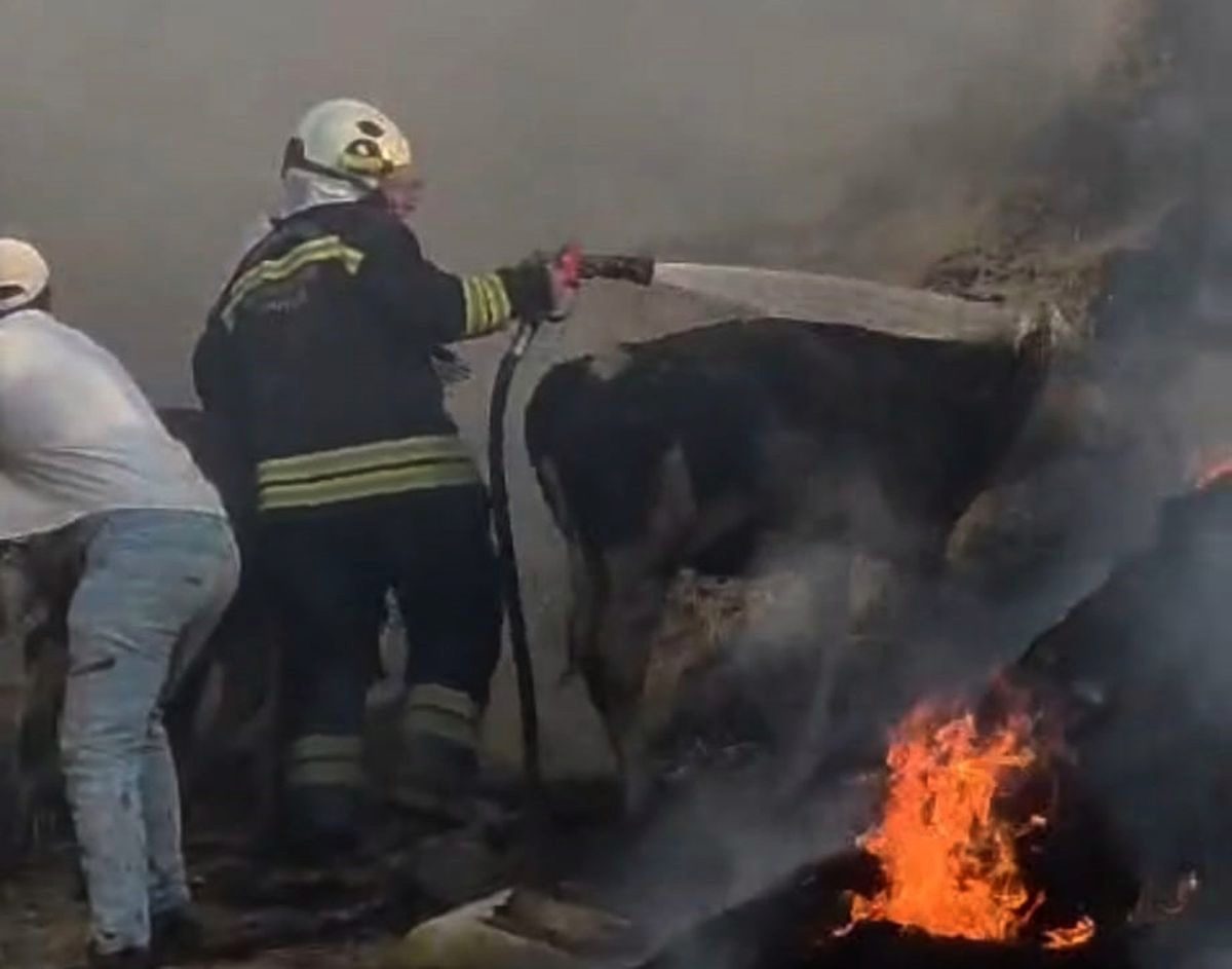 Nurdağı'nda Depremzede Ailesinin Konteynerinde Yangın: Ahıra Sıçradı