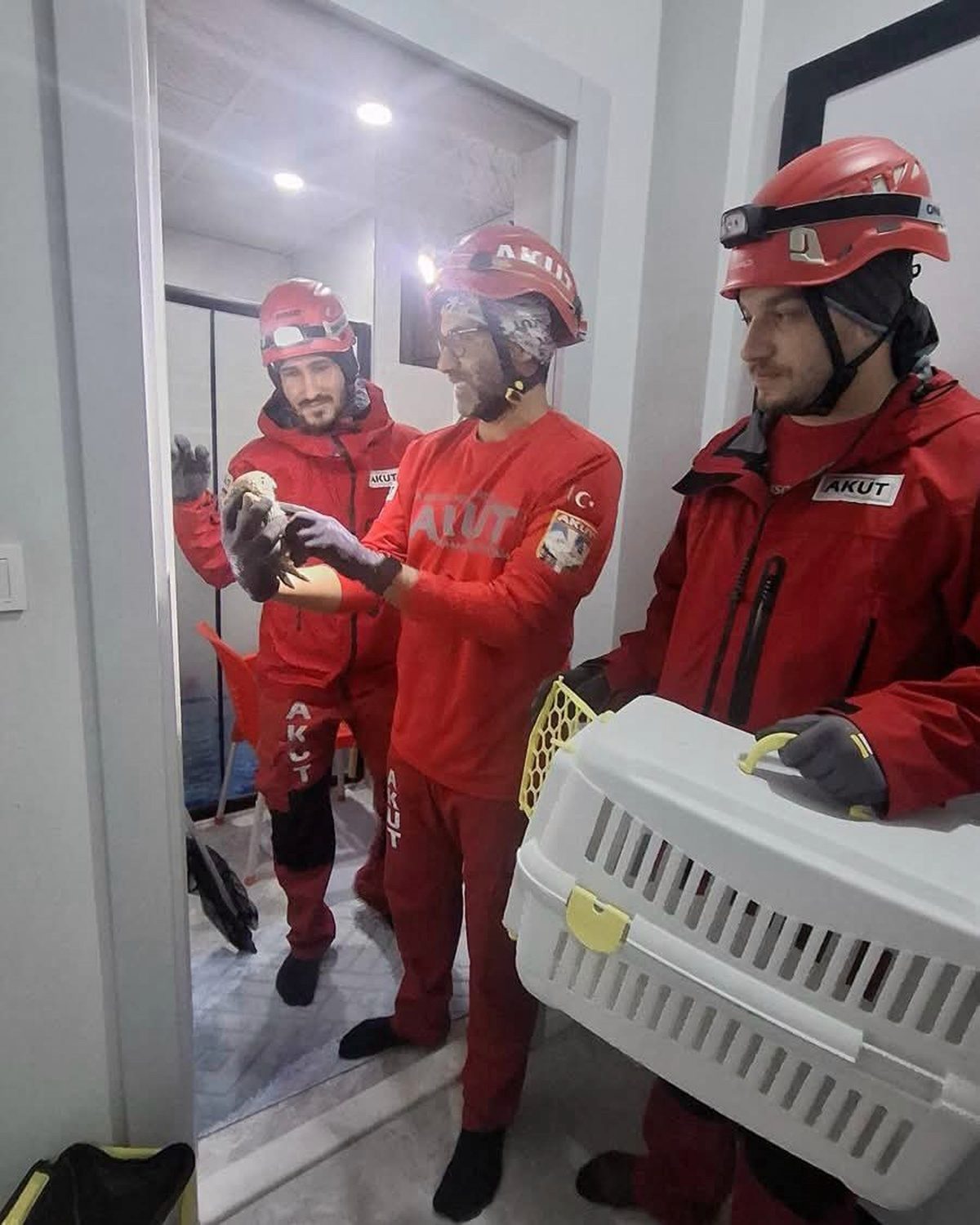 Antalya Döşemealtı'nda havalandırmada mahsur kalan baykuş AKUT ekibince kurtarıldı