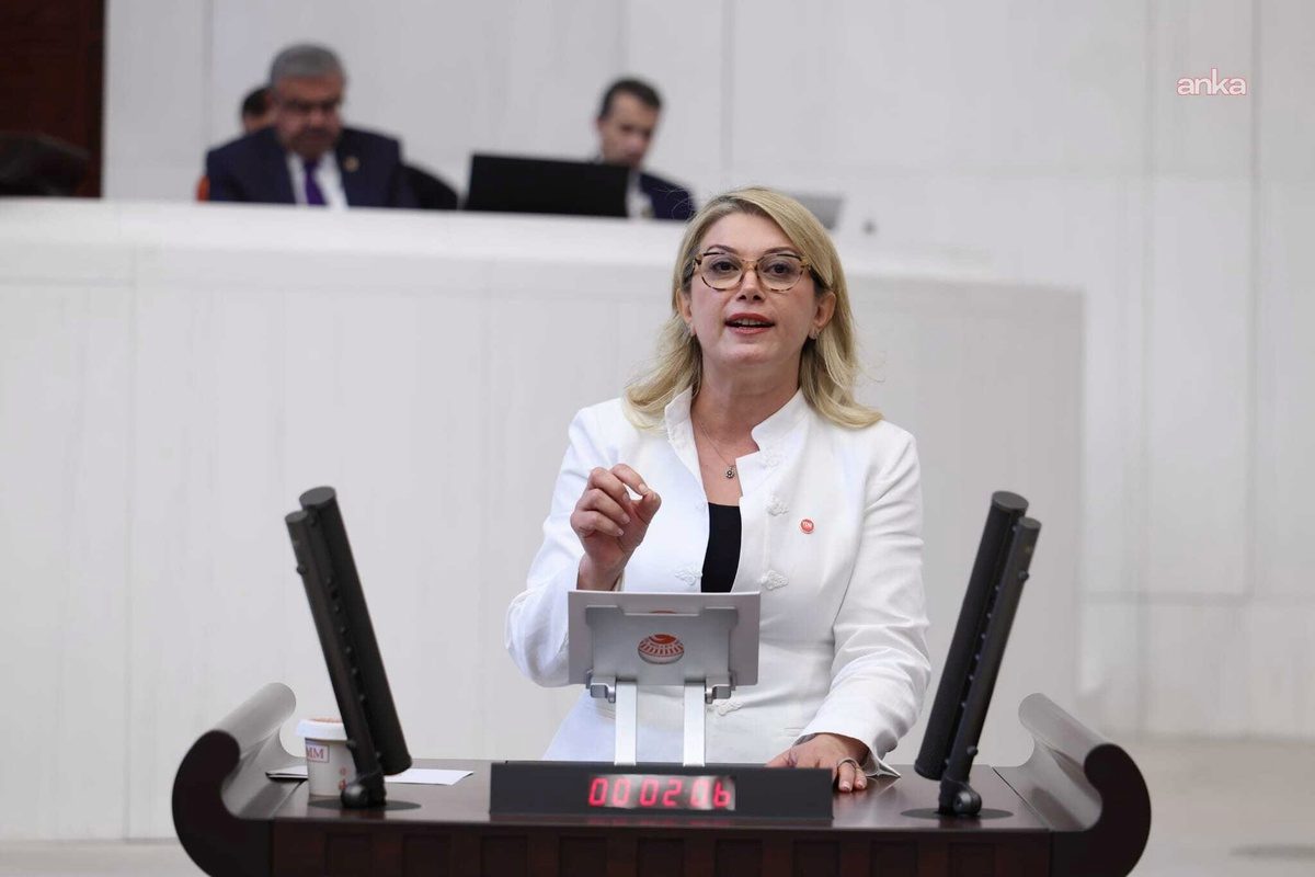 Asu Kaya, Osmaniye'nin eğitim desteği kapsamı dışında tutulmasını TBMM'ye taşıdı