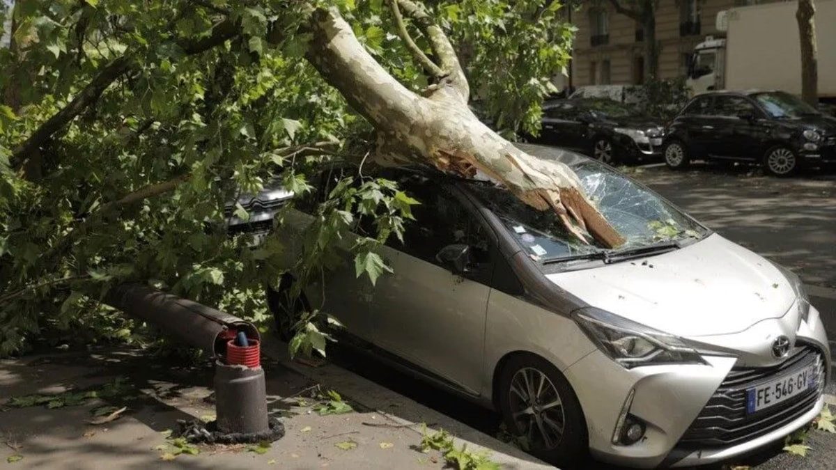 Fransa'da fırtına nedeniyle 59 bin hane elektriksiz kaldı