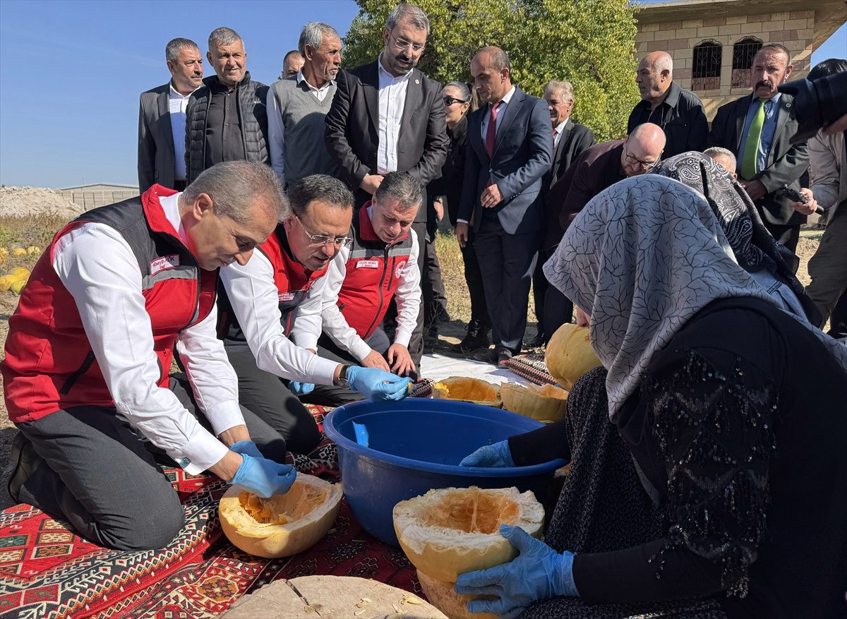 Nevşehir'de kabak çekirdeği hasadı yapıldı, 47 bin tonla Türkiye'de birinci olundu