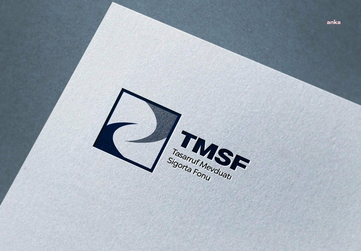 TMSF, Tera Yatırım Teknoloji Holding'e 14 Ekim 2026 kararıyla kayyum atandı